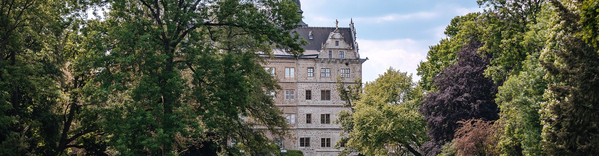 Wolfsburger Schloss mit Park und Bäumen Immobilienverkauf Wolfsburg Detko Immobilien